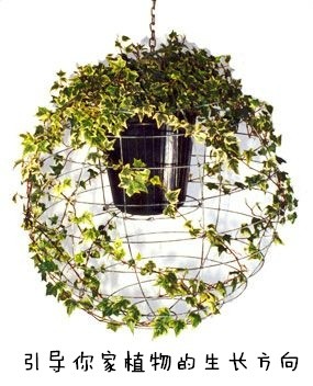 廢物利用創(chuàng)意花盆盆栽DIY -  itrip.net.cn