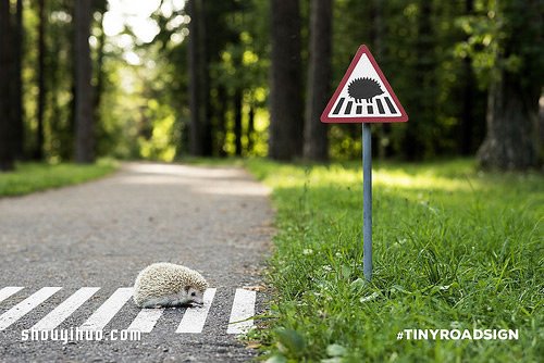 立陶宛為了動物居民打造的溫暖迷你路標 -  itrip.net.cn