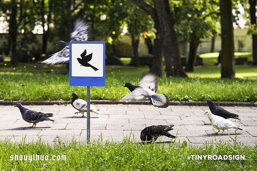 立陶宛為了動物居民打造的溫暖迷你路標 -  itrip.net.cn