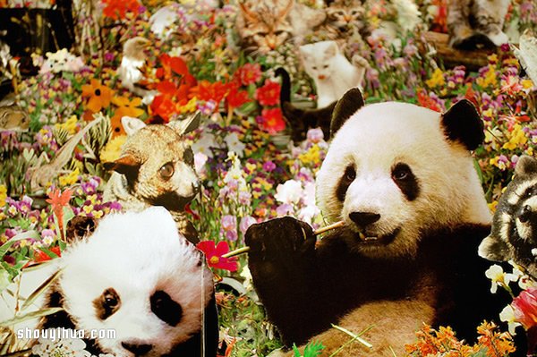 剪紙拼貼藝術(shù) 將家變成了斑斕的童話森林 -  itrip.net.cn