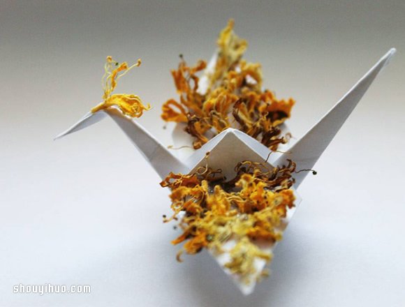 紙鶴的365種樣貌 藝術(shù)家的一日一紙鶴折紙計(jì)劃 -  itrip.net.cn