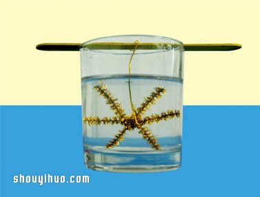 化學(xué)小實(shí)驗(yàn)：用硼砂讓雪花提前降臨 -  itrip.net.cn