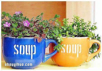 破損的茶杯廢物利用 DIY制作文藝范兒花盆 -  itrip.net.cn