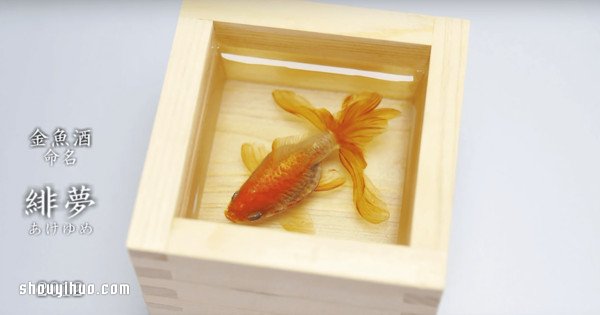 可憐小金魚被透明樹脂封存？別哭，你再仔細看 -  itrip.net.cn