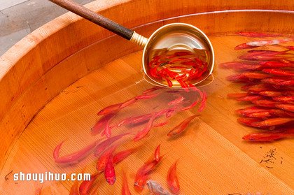 可憐小金魚被透明樹脂封存？別哭，你再仔細看 -  itrip.net.cn