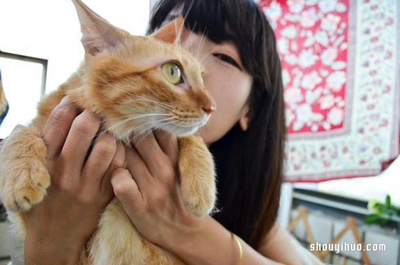 森林系花藝飾品工作室：DOOORS干燥花果手作 -  itrip.net.cn