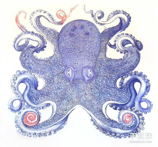 耗時(shí)一年，用圓珠筆畫(huà)出寫(xiě)實(shí)霸氣的巨型章魚(yú) -  itrip.net.cn