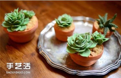 你以為這是多肉植物？其實(shí)這是一款美味蛋糕 -  itrip.net.cn