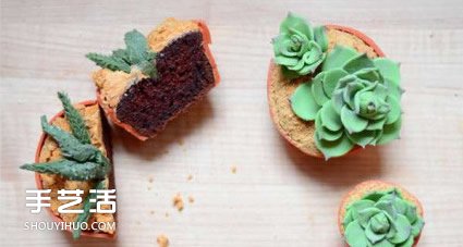 你以為這是多肉植物？其實(shí)這是一款美味蛋糕 -  itrip.net.cn