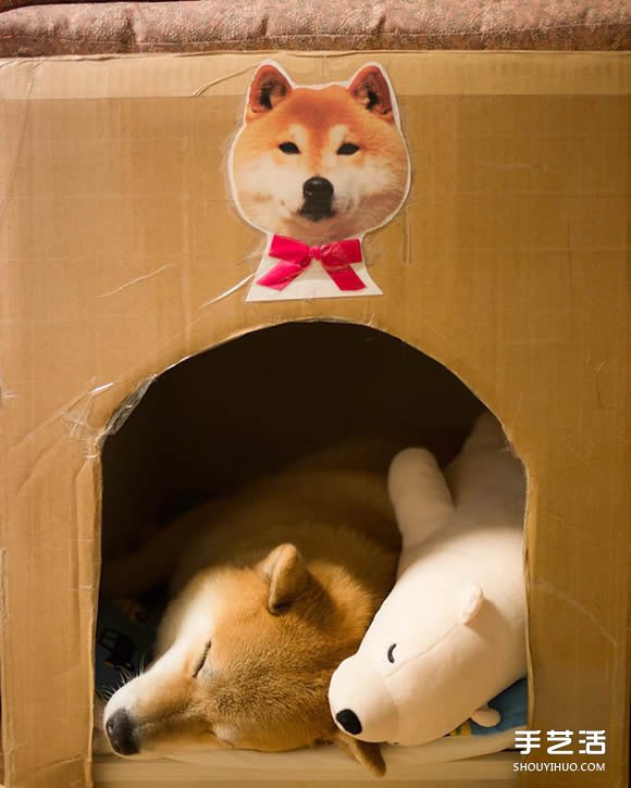 秋田犬跟它的白熊好朋友 同樣睡姿太可愛了！ -  itrip.net.cn