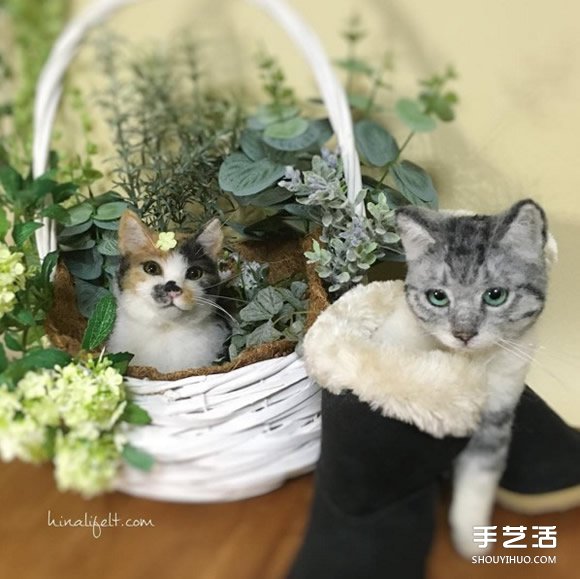 柔順毛皮+無辜眼神　這些小可愛全是羊毛氈？ -  itrip.net.cn
