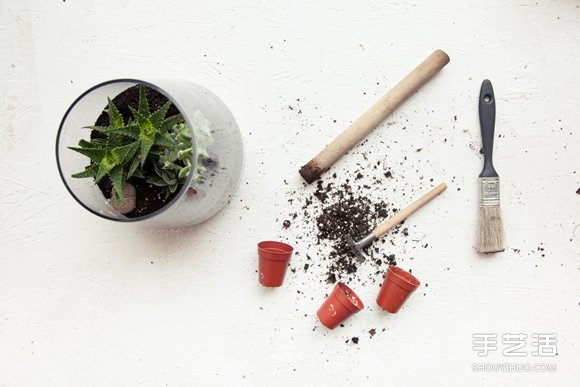 自制小清新多肉植物栽培罐的方法教程 -  itrip.net.cn
