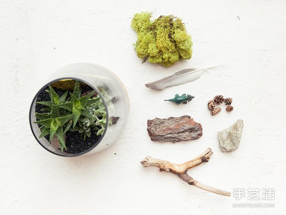自制小清新多肉植物栽培罐的方法教程 -  itrip.net.cn