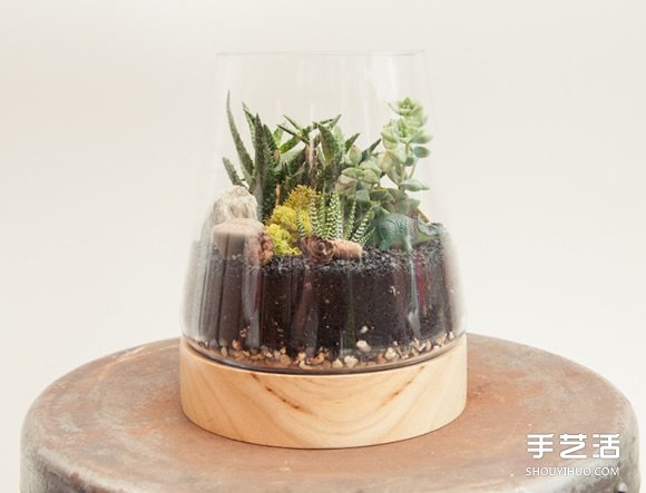 自制小清新多肉植物栽培罐的方法教程 -  itrip.net.cn