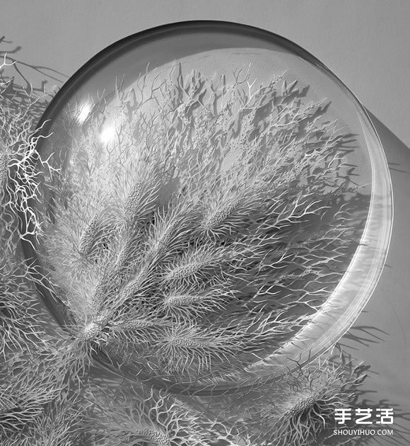以細菌、結(jié)晶等為靈感創(chuàng)作的立體紙雕作品 -  itrip.net.cn