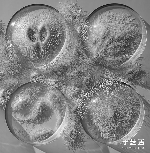 以細菌、結(jié)晶等為靈感創(chuàng)作的立體紙雕作品 -  itrip.net.cn