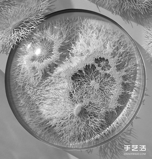 以細菌、結(jié)晶等為靈感創(chuàng)作的立體紙雕作品 -  itrip.net.cn