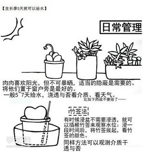 多肉植物怎么樣 多肉植物的養(yǎng)殖方法和注意事項(xiàng) -  itrip.net.cn