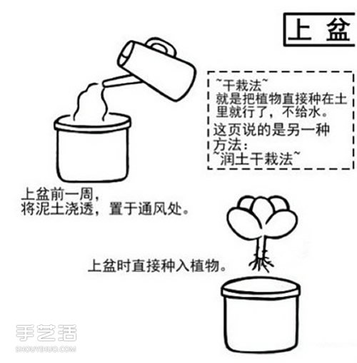 多肉植物怎么樣 多肉植物的養(yǎng)殖方法和注意事項(xiàng) -  itrip.net.cn