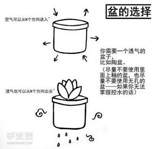 多肉植物怎么樣 多肉植物的養(yǎng)殖方法和注意事項(xiàng) -  itrip.net.cn
