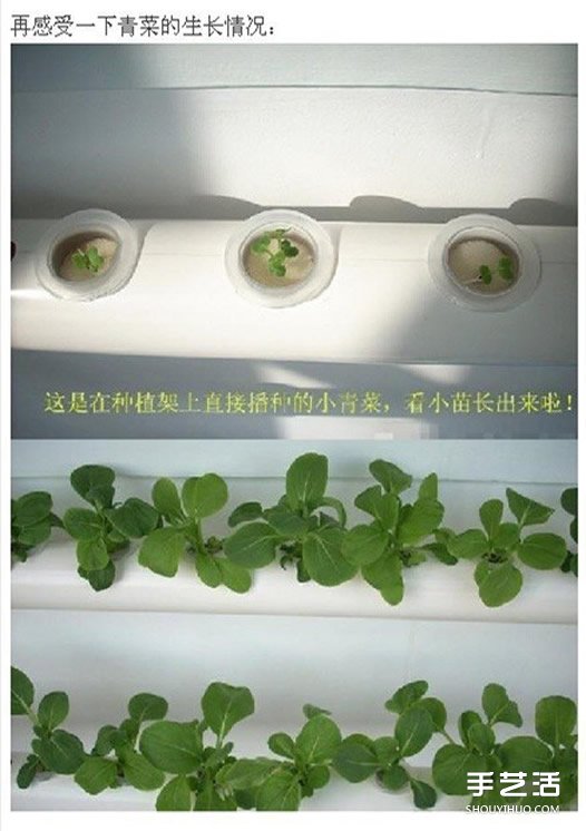 PVC管種菜設(shè)計圖 利用PVC管陽臺種菜的方法 -  itrip.net.cn