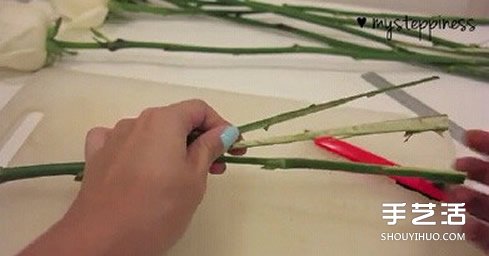 利用虹吸原理DIY制作彩虹玫瑰花的方法教程 -  itrip.net.cn