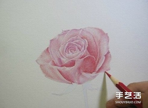 彩鉛玫瑰花的畫法步驟 玫瑰花彩色鉛筆畫教程 -  itrip.net.cn
