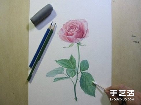 彩鉛玫瑰花的畫法步驟 玫瑰花彩色鉛筆畫教程 -  itrip.net.cn