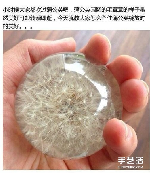 透明蒲公英球小飾品DIY制作過程步驟 -  itrip.net.cn