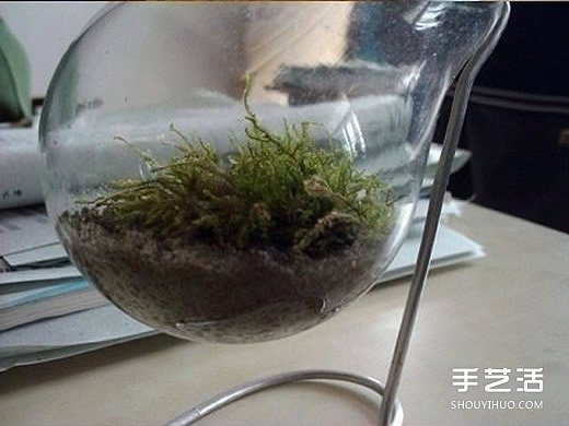 廢燈泡創(chuàng)意DIY 制作迷你多肉植物盆景的教程 -  itrip.net.cn