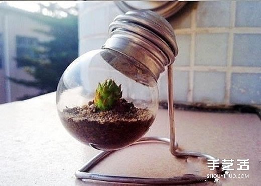 廢燈泡創(chuàng)意DIY 制作迷你多肉植物盆景的教程 -  itrip.net.cn