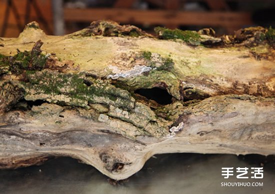 枯木廢物利用DIY花盆 制作森林系插花裝飾 -  itrip.net.cn