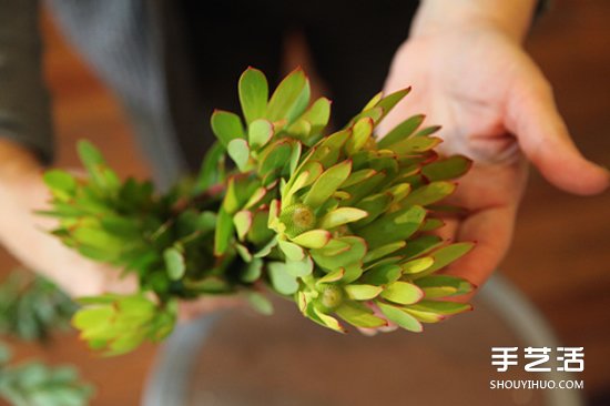 枯木廢物利用DIY花盆 制作森林系插花裝飾 -  itrip.net.cn