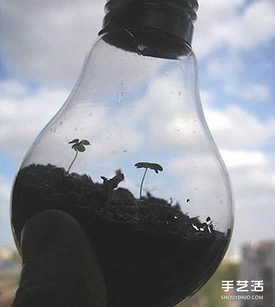 廢舊燈泡制作花盆 DIY迷你盆景的方法步驟 -  itrip.net.cn