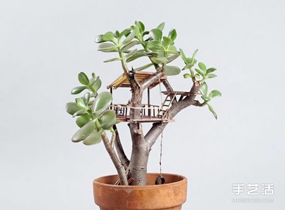 迷你樹屋模型圖片 在盆栽上搭造出小小世界 -  itrip.net.cn