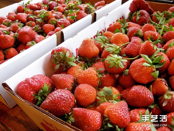 如何簡單快速去除草莓蒂頭 只要一根吸管就OK -  itrip.net.cn