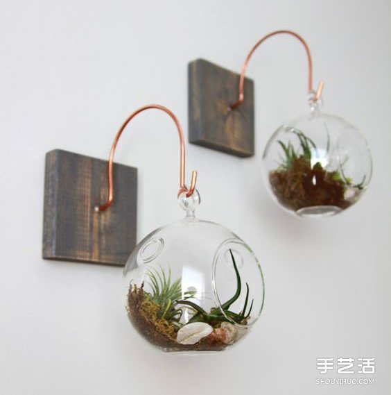 治愈系綠色盆景DIY圖片 溫馨家居的點(diǎn)睛之筆 -  itrip.net.cn