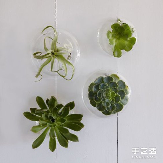 治愈系綠色盆景DIY圖片 溫馨家居的點(diǎn)睛之筆 -  itrip.net.cn