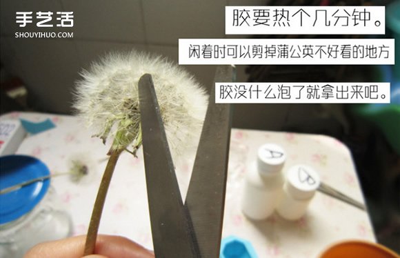 嵌花樹(shù)脂蒲公英制作教程 蒲公英樹(shù)脂標(biāo)本DIY -  itrip.net.cn