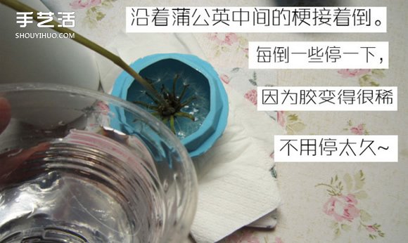 嵌花樹(shù)脂蒲公英制作教程 蒲公英樹(shù)脂標(biāo)本DIY -  itrip.net.cn