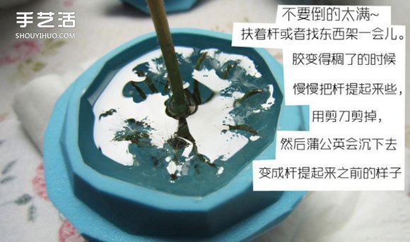 嵌花樹(shù)脂蒲公英制作教程 蒲公英樹(shù)脂標(biāo)本DIY -  itrip.net.cn
