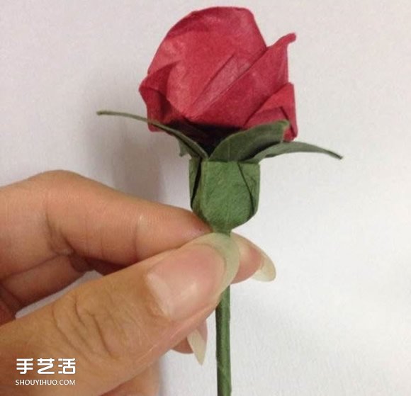 超詳細(xì)川崎玫瑰的折法圖解 包括花朵和花托 -  itrip.net.cn
