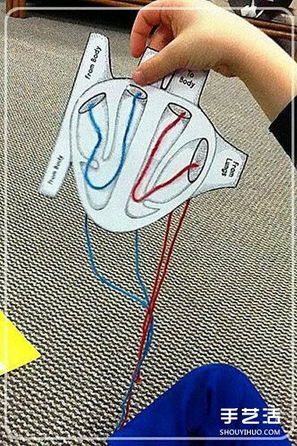 幼兒園玩教具制作：教小朋友認(rèn)知身體主要器官 -  itrip.net.cn