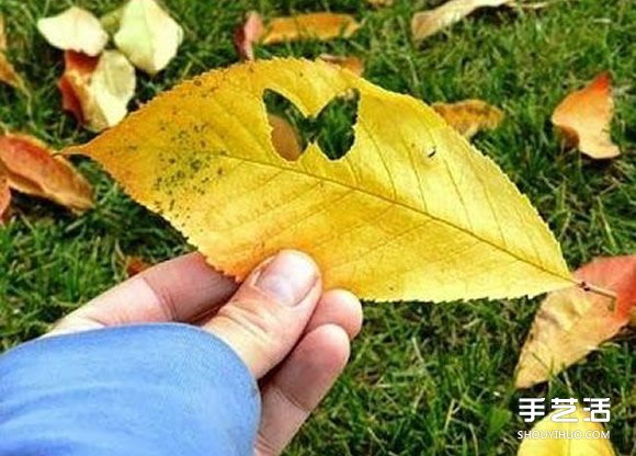 樹葉貼畫創(chuàng)意制作方法 用打孔器切出喜歡形狀 -  itrip.net.cn