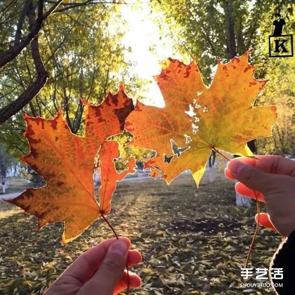 葉子切割畫(huà)作品圖片 精美手工葉切畫(huà)圖片欣賞 -  itrip.net.cn