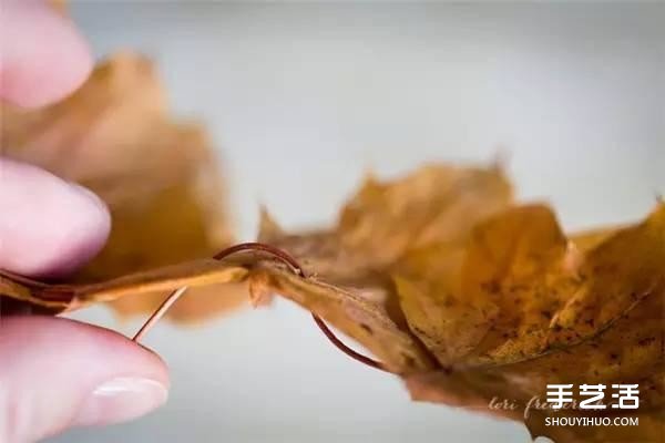 樹葉皇冠的做法圖片 手工楓葉皇冠制作方法 -  itrip.net.cn