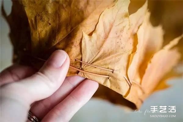 樹葉皇冠的做法圖片 手工楓葉皇冠制作方法 -  itrip.net.cn