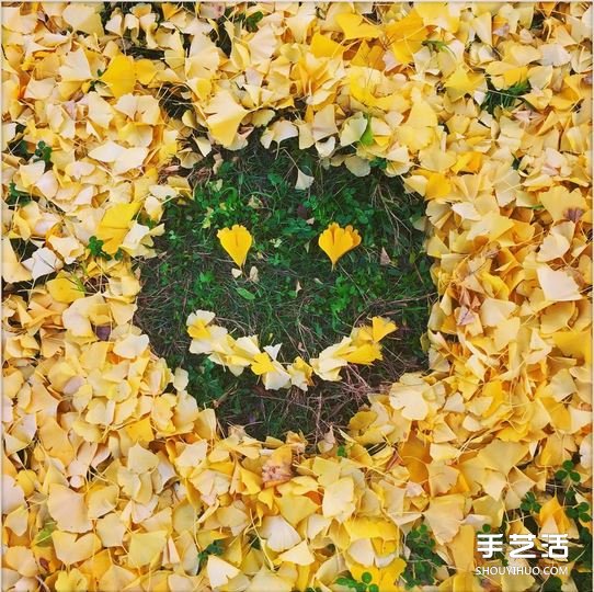 掃地也能很詩意 這么DIY讓秋天落葉更浪漫！ -  itrip.net.cn