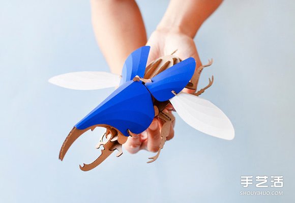 3D昆蟲紙雕 通過拼圖讓你找回手作的樂趣 -  itrip.net.cn