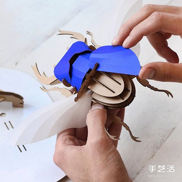 3D昆蟲紙雕 通過拼圖讓你找回手作的樂趣 -  itrip.net.cn